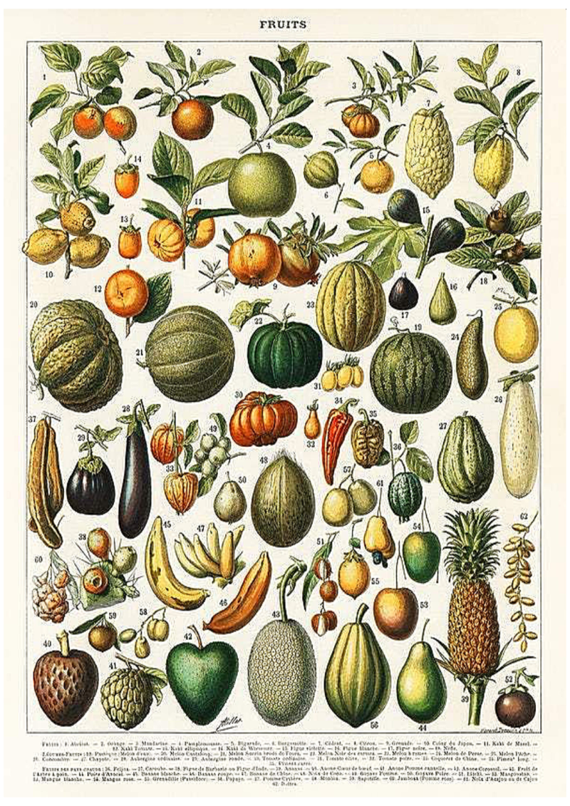 Fruits