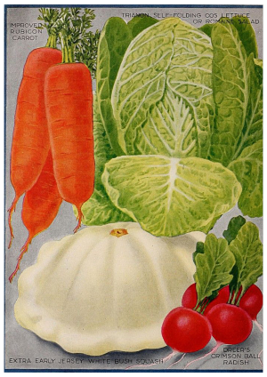 Veg