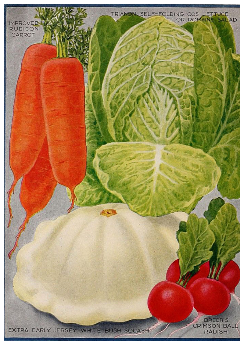 Veg