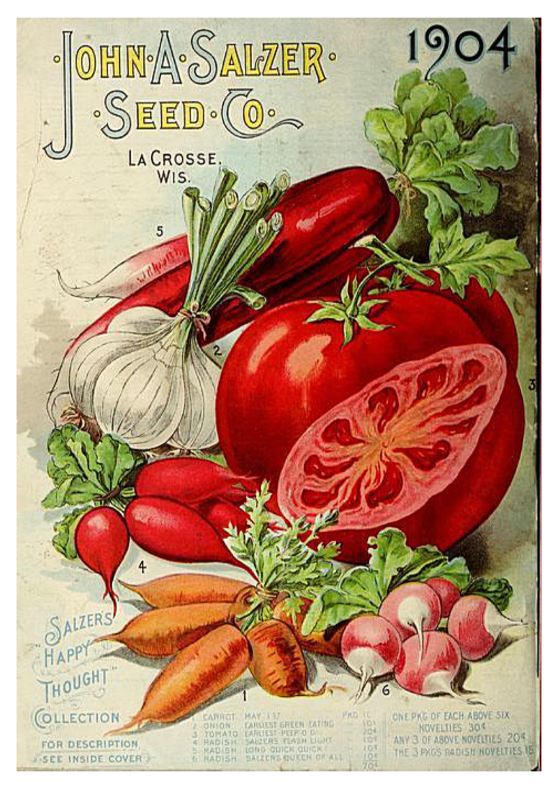 Tomato