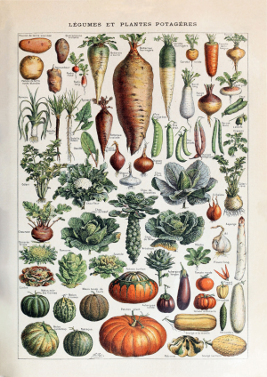 Veg Two